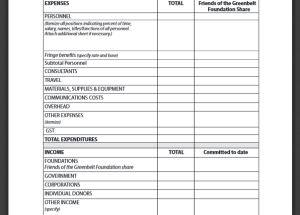 Basic Budget Proposal Format (PDF)
